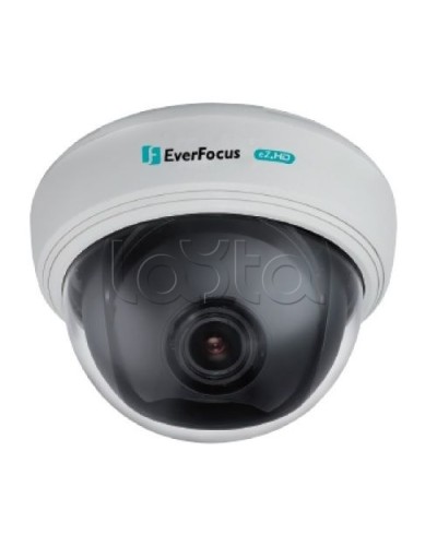 AHD-камера видеонаблюдения купольная EverFocus ED-910F в Нефтеюганске Аналоговые камеры Pintop.ru