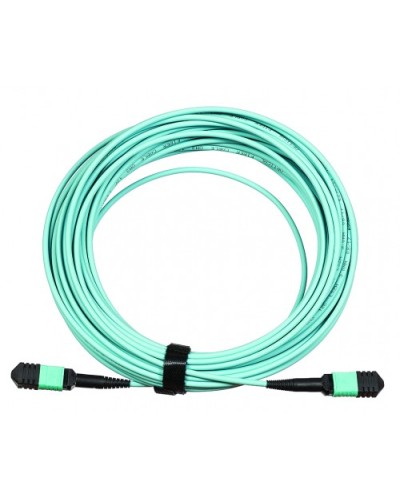 Сборка кабельная LANMASTER (LAN-12M-12M/OM3B-15) в Нефтеюганске Коннекторы Pintop.ru