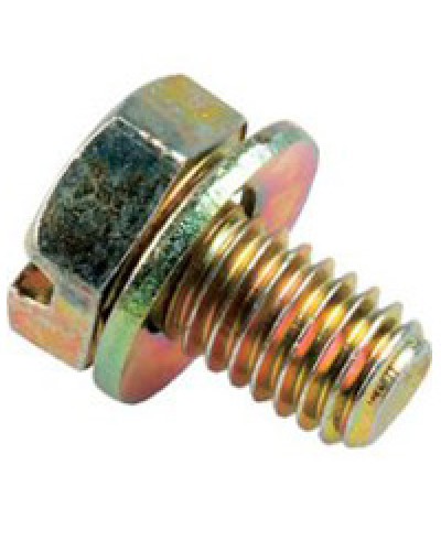 Винт с шайбой М6х10мм TH Legrand 036775 в Нефтеюганске Крепеж Pintop.ru