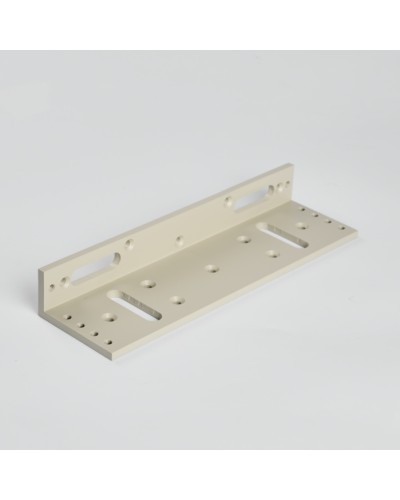 Монтажный аксеcсуар R-Lock RL-BR500-LG в Нефтеюганске Дополнительное оборудование для СКУД Pintop.ru