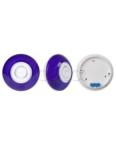 Оповещатель комбинированный SLT Марс 12-КП (строб, син) в Нефтеюганске Оповещатели Pintop.ru