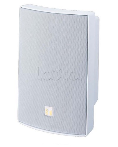 Громкоговоритель универсальный двухполосный TOA BS-1030W в Нефтеюганске Системы оповещения и трансляции TOA Pintop.ru