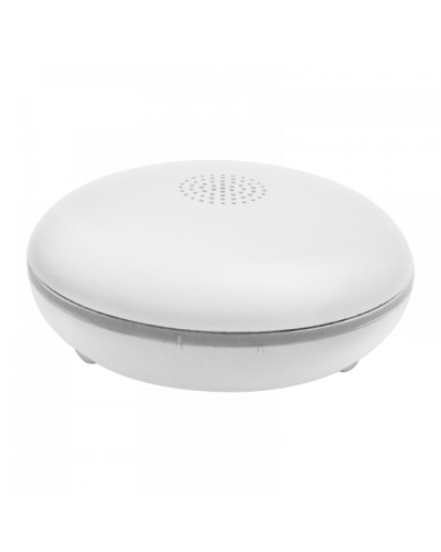 Датчик затопления Болид С2000Р-ДЗ исп.01 в Нефтеюганске Охранно-пожарное оборудование Pintop.ru