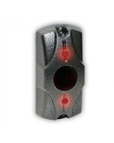 Олевс ЦИКЛОП ИК серебряный антик в Нефтеюганске Электромагнитные замки Pintop.ru