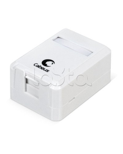 Корпус внешней настенной розетки на 1 Keystone Cabeus MB-1 в Нефтеюганске Дополнительное оборудование для сетей Pintop.ru