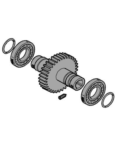 Вал выходной EMEGA Came 119RIE062 в Нефтеюганске Запчасти для шлагбаумов и автоматики Pintop.ru