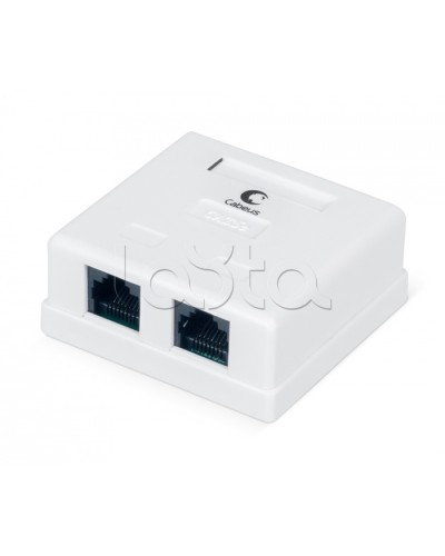 Розетка компьютерная RJ-45, категория 5e, двойная, внешняя, Dual IDC Cabeus WS-8P8C-Cat.5e-2 в Нефтеюганске Розетки компьютерные и телефонные Pintop.ru