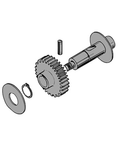 Вал в сборе C100 Came 119RIC011 в Нефтеюганске Запчасти для шлагбаумов и автоматики Pintop.ru