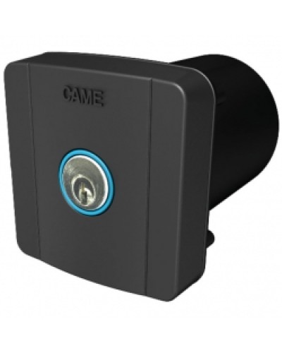 Ключ-выключатель встраиваемый Came 806SL-0020 в Нефтеюганске Запчасти для шлагбаумов и автоматики Pintop.ru