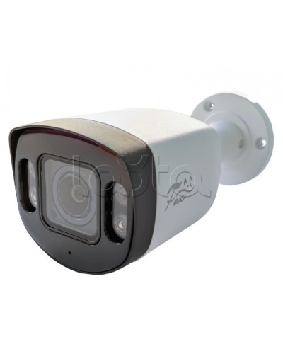 IP-камера видеонаблюдения в стандартном исполнении Fox FX-IPC-C40AP-IR H.265 AI в Нефтеюганске IP-камеры Pintop.ru