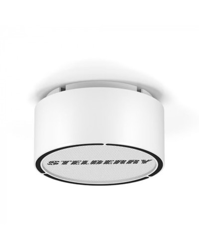 Громкоговоритель STELBERRY F-306W в Нефтеюганске Акустические системы Pintop.ru