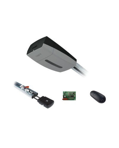 Комплект автоматики для секционных ворот Came V10DMS2.25 KIT (до 2,25 м до 18 м2) в Нефтеюганске Автоматизация ворот Pintop.ru