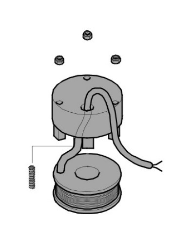 Электромагнит BX-P, BK-1200P Came 119RIBX035 в Нефтеюганске Запчасти для шлагбаумов и автоматики Pintop.ru