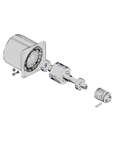 Электродвигатель С-100 Came 119RIC052 в Нефтеюганске Запчасти для шлагбаумов и автоматики Pintop.ru