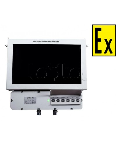 Монитор взрывозащищенный Компания СМД Орион МК М 19-Н в Нефтеюганске Дополнительное оборудование (Ex) Pintop.ru