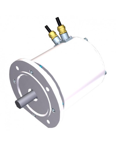 Электродвигатель FROG-MS Came 119RIA081 в Нефтеюганске Запчасти для шлагбаумов и автоматики Pintop.ru