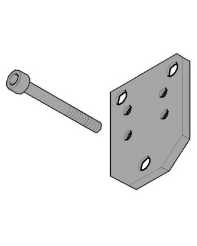 Пластина монтажная FLEX Came 119RID143 в Нефтеюганске Запчасти для шлагбаумов и автоматики Pintop.ru