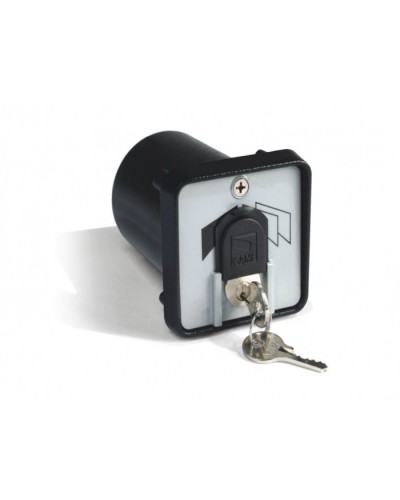 Ключ-выключатель с защитой цилиндра, встраиваемый Came 001SET-K в Нефтеюганске Запчасти для шлагбаумов и автоматики Pintop.ru