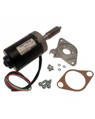 Электродвигатель BX-243 в сборе Came 119RIBX046 в Нефтеюганске Запчасти для шлагбаумов и автоматики Pintop.ru