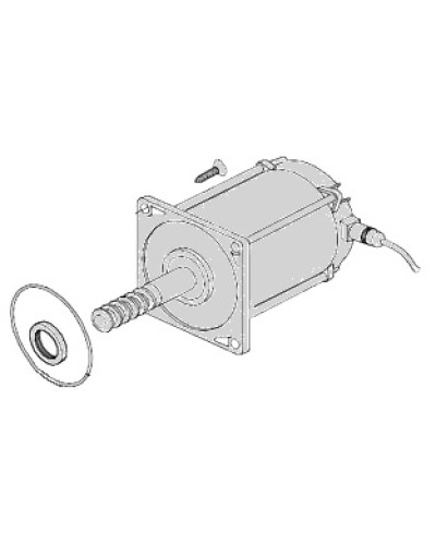 Электродвигатель Came 119RIA025 в Нефтеюганске Запчасти для шлагбаумов и автоматики Pintop.ru