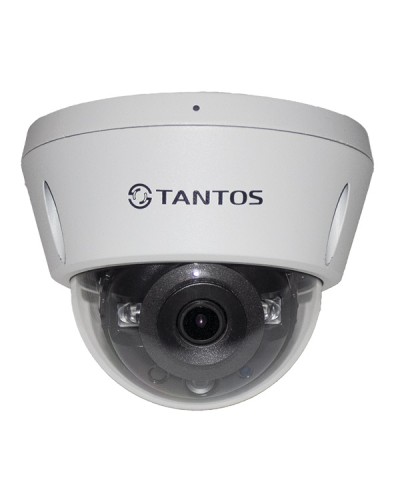 IP-видеокамера в купольном исполнении Tantos TSi-Vn253VZ в Нефтеюганске IP-камеры Pintop.ru